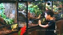 国王的朋友新馆上线！39元起畅享秘境奇缘·奇幻雨林探索馆，亲密接触100+种雨林生物，完全开放的萌宠交互体验，与神奇生物一起，共吟雨林之